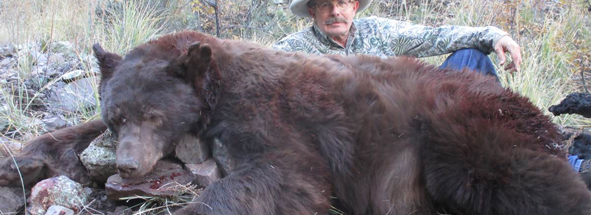 New Mexico Bear Hunting New Mexico Bear Hunting Outfitters