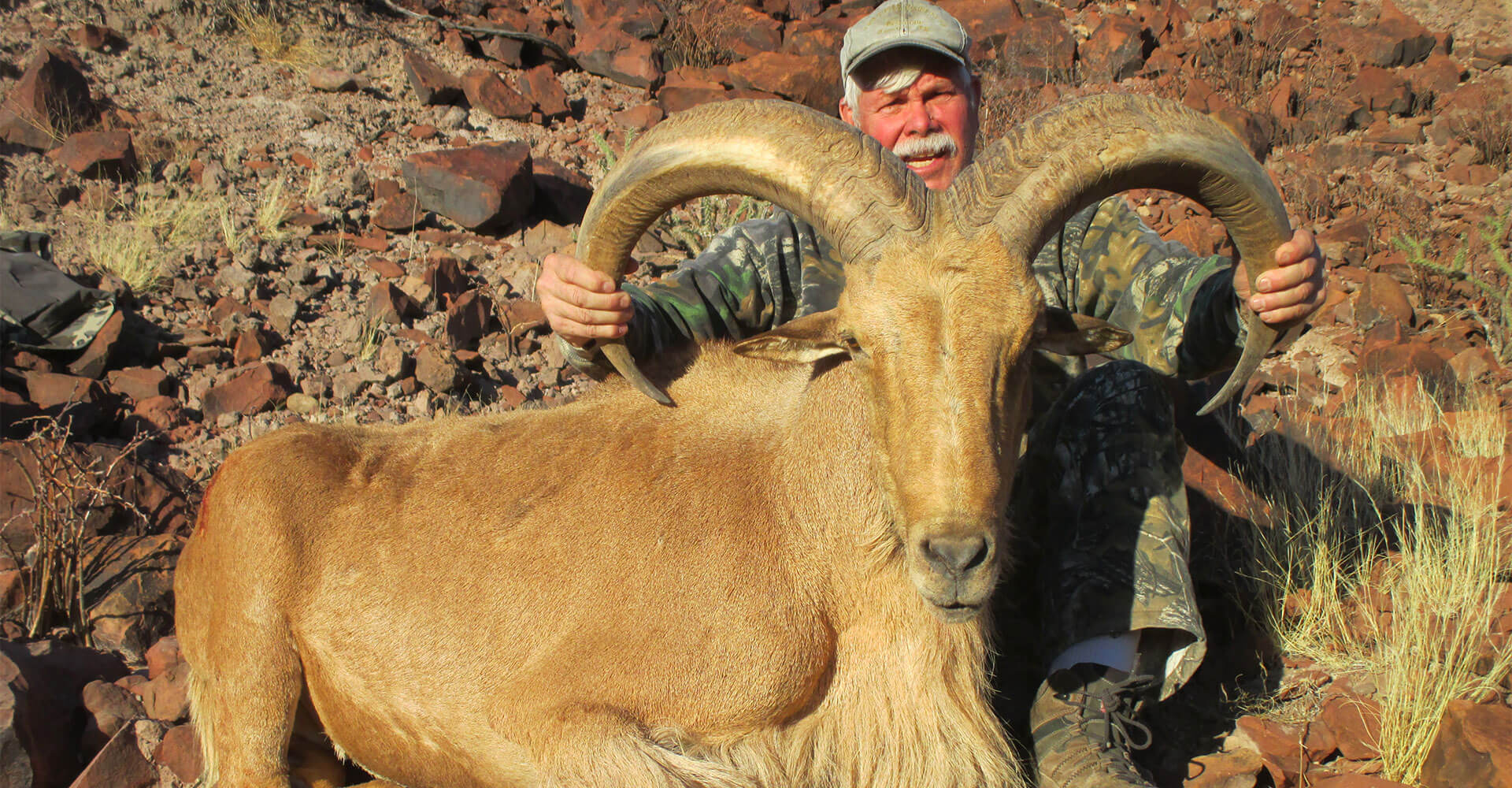 west-texas-aoudad-hunting.jpg