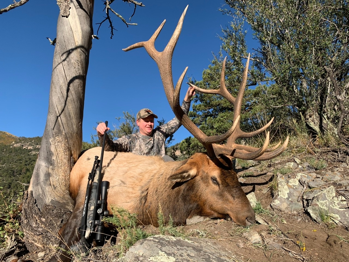 NM Rifle Elk