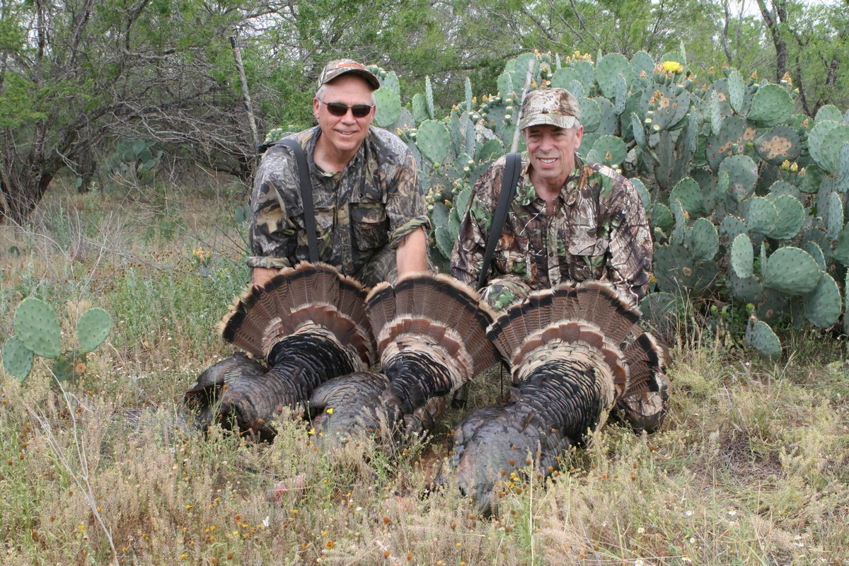 Texas Turkey Safari