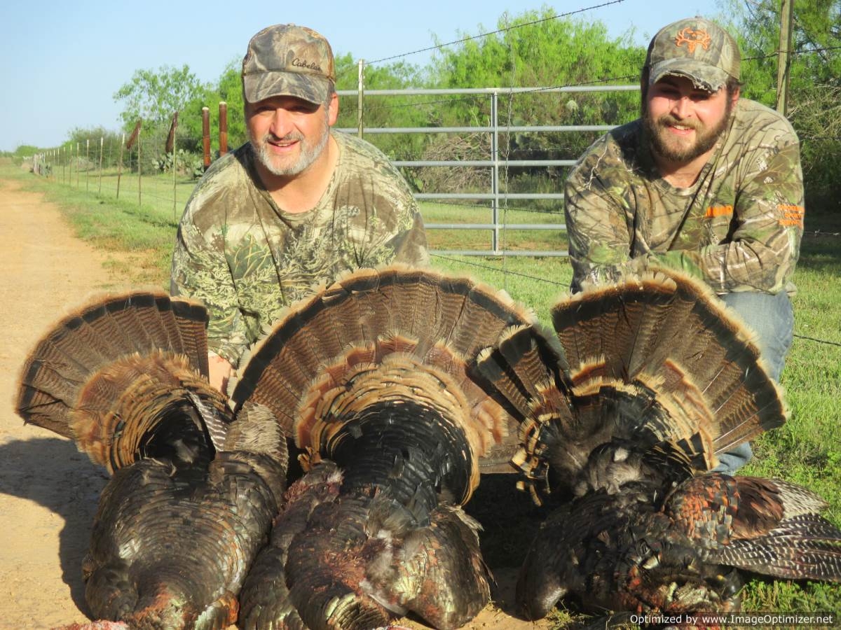 South Texas Turkey Hunting South Texas Turkey Hunting Outfitters