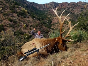 NM Elk Hunts