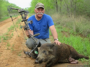 Texas Javelina Hunts