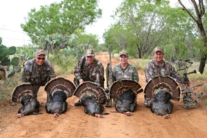 Turkey Hunts